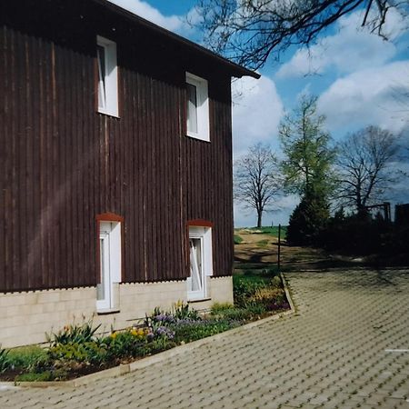 Falkenstein Reinhardtsdorf-Schona Экстерьер фото