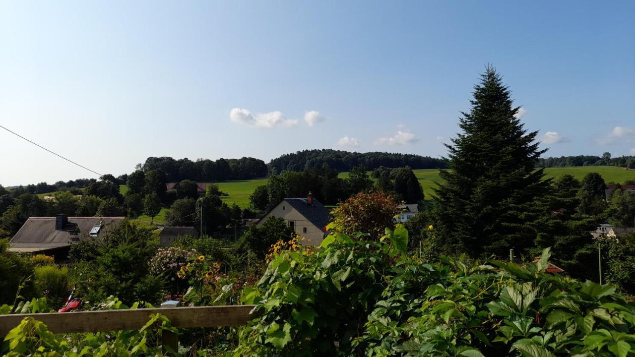 Falkenstein Reinhardtsdorf-Schona Экстерьер фото